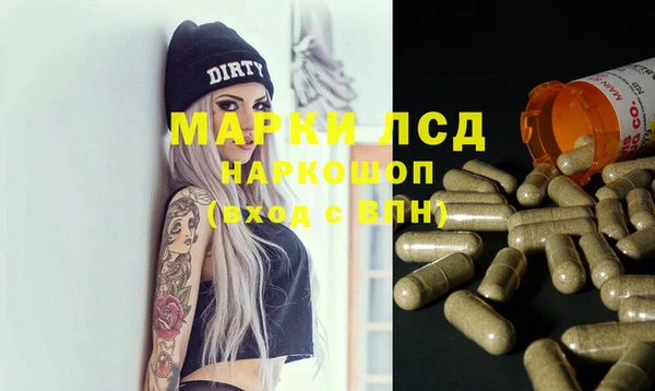 шишки Абинск