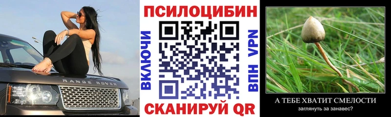 Псилоцибиновые грибы мухоморы  кракен tor  Нестеров  дарнет шоп 